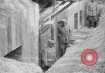 Image of French soldiers France, 1916, second 13 stock footage video 65675045770