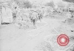 Image of Scottish infantry Mametz France, 1916, second 58 stock footage video 65675045773