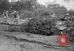 Image of prisoners of war France, 1916, second 52 stock footage video 65675045774