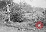 Image of prisoners of war France, 1916, second 54 stock footage video 65675045774