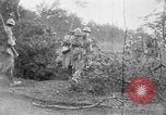 Image of prisoners of war France, 1916, second 56 stock footage video 65675045774