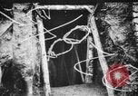 Image of Joseph Joffre France, 1916, second 43 stock footage video 65675045775
