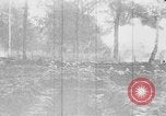 Image soldats français dans les tranchées France, 1916, de la seconde 19 séquences d'archives historiques vidéo 65675045781