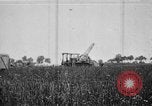 Image of French soldiers France, 1916, second 20 stock footage video 65675045782