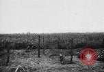 Image of French soldiers France, 1916, second 60 stock footage video 65675045784