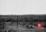 Image of French soldiers France, 1916, second 61 stock footage video 65675045784
