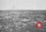 Image of French soldiers France, 1916, second 35 stock footage video 65675045785