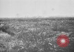 Image of French soldiers France, 1916, second 43 stock footage video 65675045785