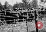 Image of French soldiers France, 1916, second 23 stock footage video 65675045786