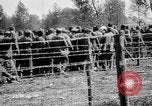 Image of French soldiers France, 1916, second 24 stock footage video 65675045786