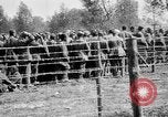 Image of French soldiers France, 1916, second 25 stock footage video 65675045786