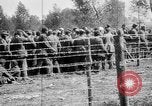 Image of French soldiers France, 1916, second 26 stock footage video 65675045786