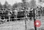 Image of French soldiers France, 1916, second 27 stock footage video 65675045786