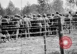 Image of French soldiers France, 1916, second 28 stock footage video 65675045786