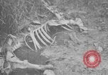 Image of French soldiers France, 1916, second 15 stock footage video 65675045787