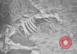 Image of French soldiers France, 1916, second 16 stock footage video 65675045787