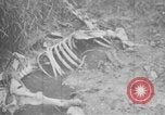 Image of French soldiers France, 1916, second 17 stock footage video 65675045787