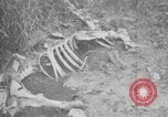 Image of French soldiers France, 1916, second 19 stock footage video 65675045787