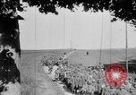 Image of French soldiers France, 1916, second 26 stock footage video 65675045788