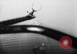 Image of German Naval float planes European Theater, 1940, second 16 stock footage video 65675045795