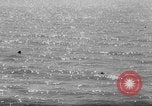 Image of Japanese officers Pacific Theater, 1940, second 51 stock footage video 65675045800