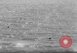 Image of Japanese officers Pacific Theater, 1940, second 53 stock footage video 65675045800