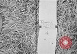Immagine di Ex carcere giapponese camp Cabanatuan Filippine, 1945, secondo 4 filmato di repertorio 65675045816