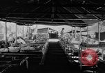 Image Libéré des prisonniers de guerre américains soignés en hôpital de Cabanatuan Philippines, 1945, de la seconde 14 séquences d'archives historiques vidéo 65675045817