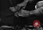 Image of regimental flag Philippines, 1945, second 10 stock footage video 65675045821