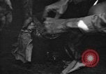 Image of regimental flag Philippines, 1945, second 15 stock footage video 65675045821