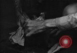 Image of regimental flag Philippines, 1945, second 18 stock footage video 65675045821