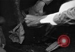 Image of regimental flag Philippines, 1945, second 20 stock footage video 65675045821