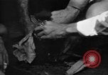 Image of regimental flag Philippines, 1945, second 21 stock footage video 65675045821