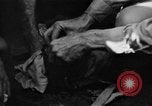 Image of regimental flag Philippines, 1945, second 24 stock footage video 65675045821