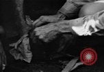 Image of regimental flag Philippines, 1945, second 25 stock footage video 65675045821