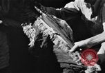 Image of regimental flag Philippines, 1945, second 29 stock footage video 65675045821