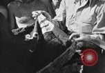 Image of regimental flag Philippines, 1945, second 34 stock footage video 65675045821