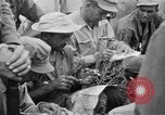 Image of American prisoners Philippines, 1945, second 26 stock footage video 65675045822