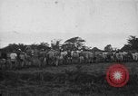 Image des prisonniers américains Philippines, 1945, de la seconde 1 séquences d'archives historiques vidéo 65675045824