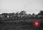 Image des prisonniers américains Philippines, 1945, de la seconde 3 séquences d'archives historiques vidéo 65675045824
