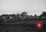 Image des prisonniers américains Philippines, 1945, de la seconde 4 séquences d'archives historiques vidéo 65675045824