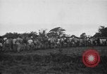 Image des prisonniers américains Philippines, 1945, de la seconde 5 séquences d'archives historiques vidéo 65675045824