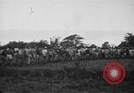Image des prisonniers américains Philippines, 1945, de la seconde 6 séquences d'archives historiques vidéo 65675045824