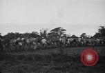 Image des prisonniers américains Philippines, 1945, de la seconde 8 séquences d'archives historiques vidéo 65675045824