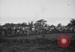 Image des prisonniers américains Philippines, 1945, de la seconde 9 séquences d'archives historiques vidéo 65675045824