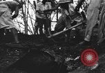 Image of Palawan Massacre prisoners bodies recovered Palawan Philippines, 1945, second 47 stock footage video 65675045828