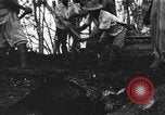 Image of Palawan Massacre prisoners bodies recovered Palawan Philippines, 1945, second 48 stock footage video 65675045828