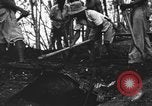 Image of Palawan Massacre prisoners bodies recovered Palawan Philippines, 1945, second 49 stock footage video 65675045828