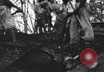 Image of Palawan Massacre prisoners bodies recovered Palawan Philippines, 1945, second 50 stock footage video 65675045828