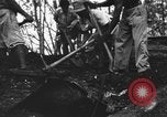 Image of Palawan Massacre prisoners bodies recovered Palawan Philippines, 1945, second 51 stock footage video 65675045828